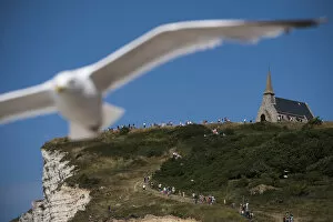 Sea Gull Gallery: France-Tourism-Etretat