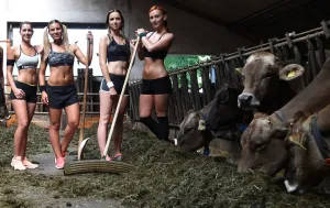 Offbeat Quirky Images Gallery: Bavaria - Farming Calender Collection