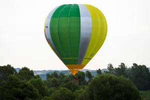 A hot-air balloon raises amongst trees during the 21th European Balloon Festival in A hot-air balloon raises amongst trees during the 21th European Balloon Festival in