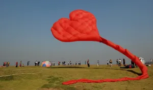 India-Culture-Festival-Kites India-Culture-Festival-Kites
