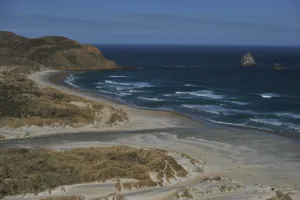 <b class=qtipBold><figcaption>New Zealand-Beach-Feature</figcaption></b><br>Waves beak on Sandfly Bay near Dunedin on September 21, 2011. AFP PHOTO / CHRISTOPHE SIMON / AFP PHOTO / CHRISTOPHE SIMON<br><em>© Copyright Agence France-Presse (AFP) - All Rights Reserved</em> New Zealand-Beach-Feature