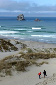 <b class=qtipBold><figcaption>New Zealand-Dunedin-Beach</figcaption></b><br>People walk to the beach to the sea at Sandfly Bay near Dunedin in New Zealand. AFP PHOTO/PAUL ELLIS / AFP PHOTO / PAUL ELLIS<br><em>© Copyright Agence France-Presse (AFP) - All Rights Reserved</em> New Zealand-Dunedin-Beach