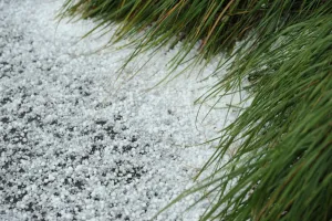 <b class=qtipBold><figcaption>New Zealand-Feature-Weather</figcaption></b><br>Hailstones collect on a street during a hailstorm in Wellington on September 13, 2011. AFP PHOTO/Peter PARKS / AFP PHOTO / PETER PARKS<br><em>© Copyright Agence France-Presse (AFP) - All Rights Reserved</em> New Zealand-Feature-Weather