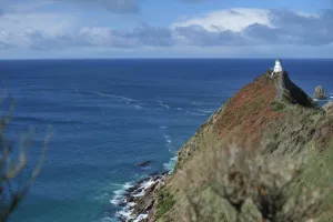 New Zealand-Lighthouse-Nugget Point New Zealand-Lighthouse-Nugget Point