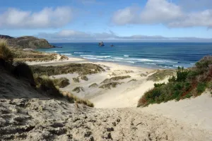 <b class=qtipBold><figcaption>New Zealand-Nature-Beach</figcaption></b><br>View of the beach at Sandfly Bay near Dunedin in New Zealand. AFP PHOTO/PAUL ELLIS / AFP PHOTO / PAUL ELLIS<br><em>© Copyright Agence France-Presse (AFP) - All Rights Reserved</em> New Zealand-Nature-Beach