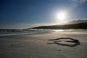 <b class=qtipBold><figcaption>New Zealand-Sandfly Bay- Beach</figcaption></b><br>Strong off shore winds blow as waves break on the beach in Sandfly Bay near Dunedin. AFP PHOTO / MARTIN BUREAU / AFP PHOTO / MARTIN BUREAU<br><em>© Copyright Agence France-Presse (AFP) - All Rights Reserved</em> New Zealand-Sandfly Bay- Beach