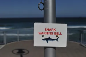 <b class=qtipBold><figcaption>New Zealand-Shark-Offbeat</figcaption></b><br>A shark bell stands on the ready on the beach of Saint Clair near Dunedin. AFP PHOTO / CHRISTOPHE SIMON / AFP PHOTO / CHRISTOPHE SIMON<br><em>© Copyright Agence France-Presse (AFP) - All Rights Reserved</em> New Zealand-Shark-Offbeat