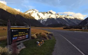 <b class=qtipBold><figcaption>Nzealand-Mt Cook</figcaption></b><br>A photo taken on Febraury 25, 2015, shows a sign for Mt Cook villlage which sits at the foot of New Zealand's highest mountain Mt Cook - also known by it's Maori name of Aoraki - located in the Southern Alps on the South Island at a height of 3, 724 metres (12, 218 ft). AFP PHOTO / William WEST<br><em>© Copyright Agence France-Presse (AFP) - All Rights Reserved</em> Nzealand-Mt Cook