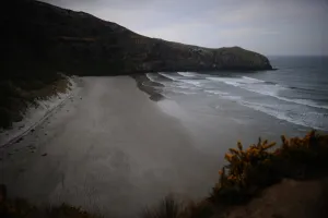 <b class=qtipBold><figcaption>Nzealand-Nature-Feature</figcaption></b><br>Waves roll in towards a deserted beach on the Otago peninsula near Dunedin, on September 7, 2011. AFP PHOTO / CHRISTOPHE SIMON / AFP PHOTO / CHRISTOPHE SIMON<br><em>© Copyright Agence France-Presse (AFP) - All Rights Reserved</em> Nzealand-Nature-Feature