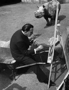 Salvador Dali in front of the rhinoceros, zoo of Vincennes Salvador Dali in front of the rhinoceros, zoo of Vincennes