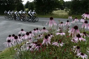 Tour De France Prints: Print of Team Sky Cycling Team Training in France