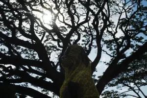 Tanzania-Lifestyle-Weather-Feature Tanzania-Lifestyle-Weather-Feature