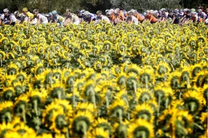 Topshots-Cycling-Fra-Tdf-2010-Pack-Postcard Topshots-Cycling-Fra-Tdf-2010-Pack-Postcard