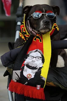 Images Dated 18th May 2016: Uk - Liverpool-Sevilla-Dog