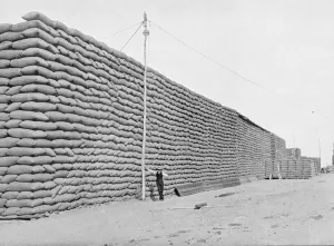 125, 000 bags of wheat awaiting shipment, South Australia, c 125, 000 bags of wheat awaiting shipment, South Australia, c