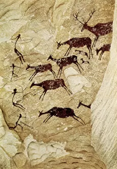 Cave Painting Collection: 5378582