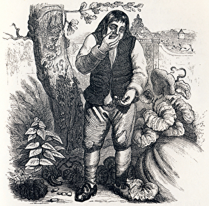 The acorn and the pumpkin (Le gland et la citrouille) - Fables by La Fontaine The acorn and the pumpkin (Le gland et la citrouille) - Fables by La Fontaine