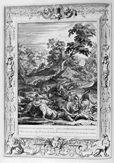 Acteon devoured by hunting hounds (engraving)