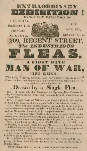 Advert for an exhibition of The Industrious Fleas (engraving) Advert for an exhibition of The Industrious Fleas (engraving)