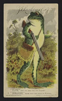 Frog Gallery: Advertisement for J D Larkin & Co soap, Buffalo, New York (colour litho)