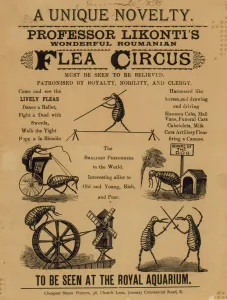 Advertisement for Professor Likonti's Wonderful Roumanian Flea Circus (engraving) Advertisement for Professor Likonti's Wonderful Roumanian Flea Circus (engraving)