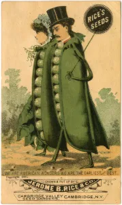 Similarity Gallery: Advertisement for Rices Seeds (colour litho) (recto of 3601175)
