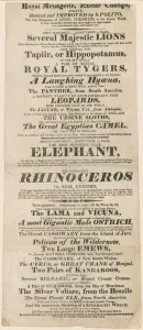 Advertisement for Royal Menagerie, Exeter Change (engraving) Advertisement for Royal Menagerie, Exeter Change (engraving)