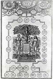 Serpent Gallery: Adam and Eves Family Tree, 1556 (engraving)