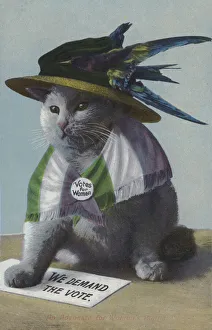 An advocate for women's rights (colour litho) An advocate for women's rights (colour litho)