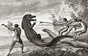 African tribesmen killing a crocodile. After a 19th century engraving African tribesmen killing a crocodile. After a 19th century engraving