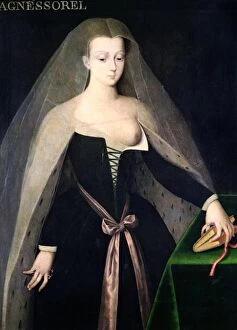 Veil Gallery: Agnes Sorel (c.1422-50) (oil on panel)