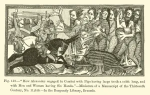 How Alexander engaged in Combat with Pigs having large teeth a cubit long How Alexander engaged in Combat with Pigs having large teeth a cubit long