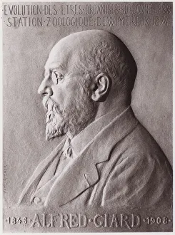 Alfred Giard (1846-1908), zoologist, portrait (litho) Alfred Giard (1846-1908), zoologist, portrait (litho)