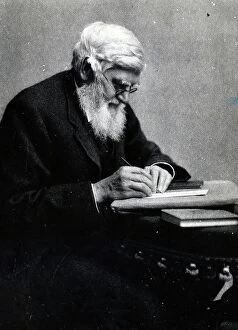 English Photographer Gallery: Alfred Russel Wallace, c.1910 (b/w photo)