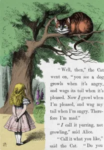 Alice and the Cat, illustration by Sir John Tenniel for the first edition of Alice in Alice and the Cat, illustration by Sir John Tenniel for the first edition of Alice in
