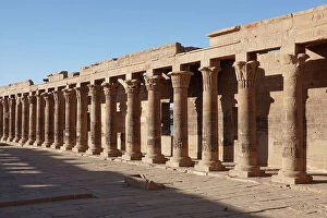 Ancient Egyptian Architecture Collection: Alignment of columns, papyriform capitals, Philae temple