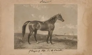 Aliwal, the property of Sir Harry Smith, Bart (lithograph) Aliwal, the property of Sir Harry Smith, Bart (lithograph)