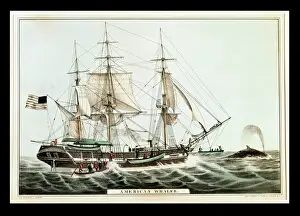 American Whaler, engraved by Nathaniel Currier (1813-88) (colour litho) American Whaler, engraved by Nathaniel Currier (1813-88) (colour litho)