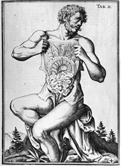 Anatomical chart of the digestive tract, -in 'Tabulae Anatomicae' by Giulio Casserio Anatomical chart of the digestive tract, -in 'Tabulae Anatomicae' by Giulio Casserio