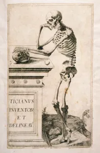Anatomical study, by Domenico Maria Bonavera (b.1640) (etching and drypoint) Anatomical study, by Domenico Maria Bonavera (b.1640) (etching and drypoint)