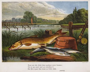 Angler's catch of fish on a riverbank (coloured engraving) Angler's catch of fish on a riverbank (coloured engraving)