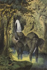 Animals of the marshy forests of the Sudan (colour litho) Animals of the marshy forests of the Sudan (colour litho)
