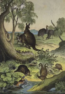 Animals and plants of the Australian interior (colour litho) Animals and plants of the Australian interior (colour litho)