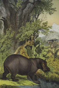 Animals and plants of marsh woodland in the Sudan (colour litho) Animals and plants of marsh woodland in the Sudan (colour litho)