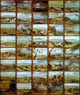 Animals Table showing compartments corresponding to different animal species Animals Table showing compartments corresponding to different animal species
