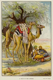 Arabs taking a halt in the desert (chromolitho)