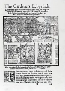 Arbour built as a shade against the sun and planting in raised beds, from The Arbour built as a shade against the sun and planting in raised beds, from The