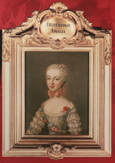 Archduchess Maria Amalia (1746-1804) daughter of Emperor Francis I (1708-65) Archduchess Maria Amalia (1746-1804) daughter of Emperor Francis I (1708-65)