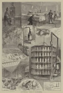 Robotics Gallery: Artificial Chicken-Hatching (engraving)