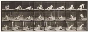 Fine Art Print: Eadweard Muybridge's Plate 266, 1872-1885
